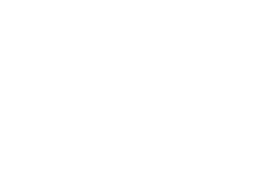 Platinum Wealth