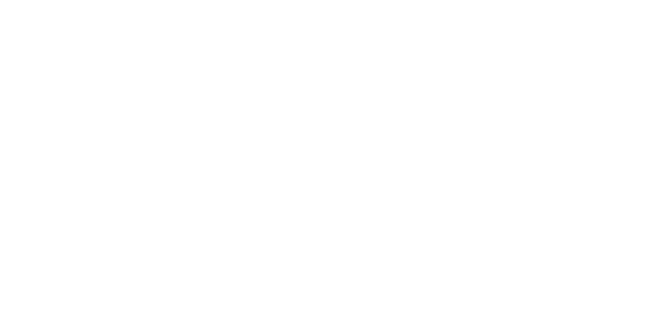 The Traveling Therapist
